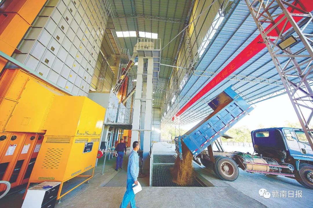 保清县富硒大米产量多少(富硒优质大米)-硒宝网