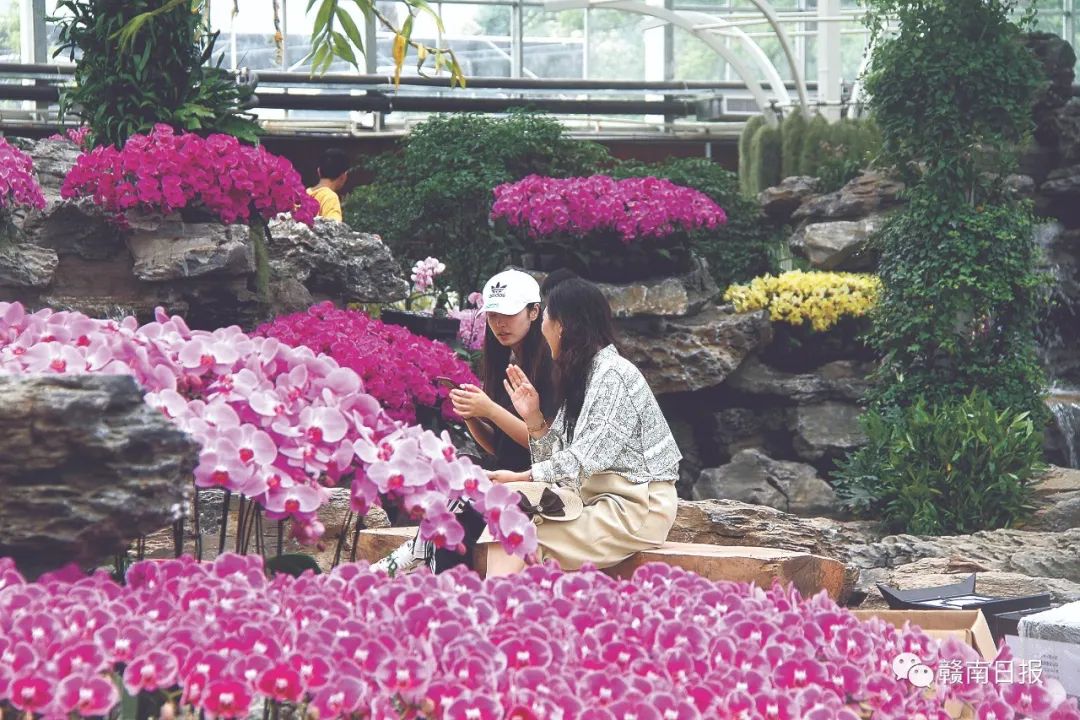 保清县富硒大米产量多少(富硒优质大米)-硒宝网