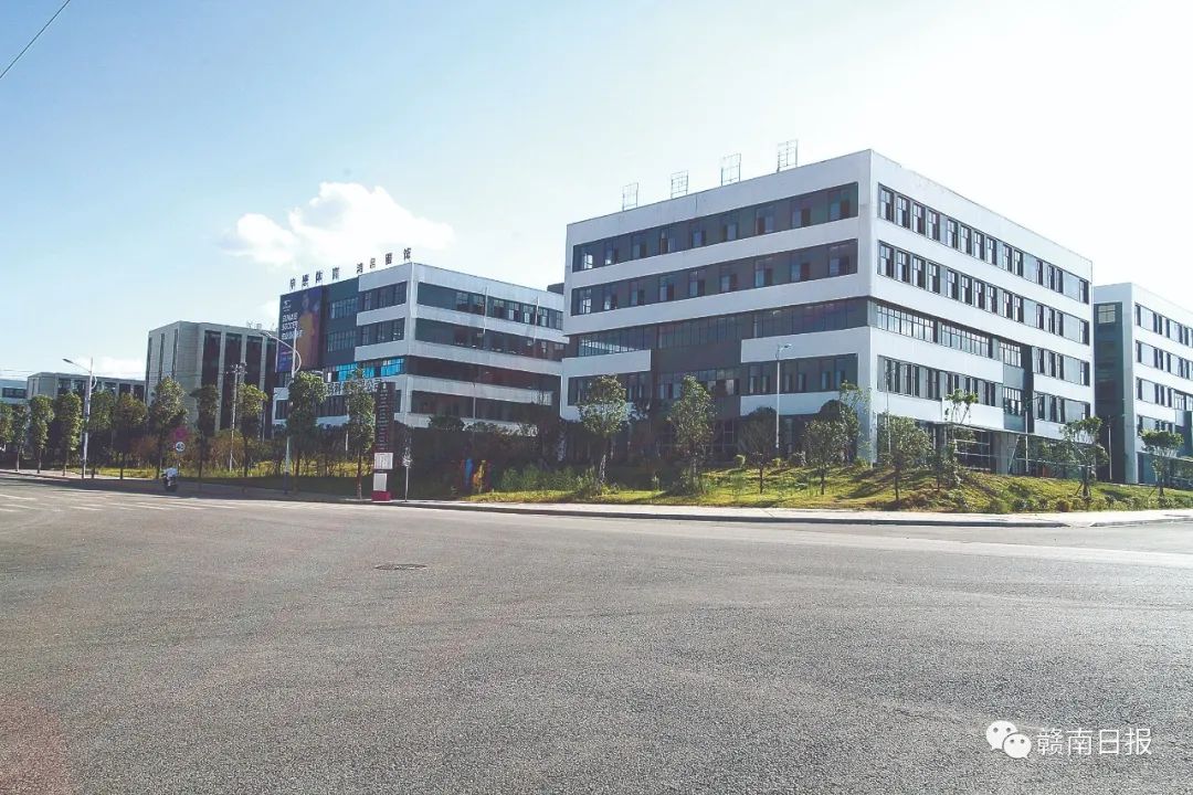 保清县富硒大米产量多少(富硒优质大米)-硒宝网