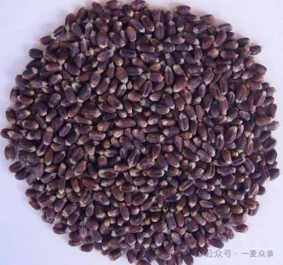 保清县富硒大米产量多少（富硒大米市场前景）-硒宝网