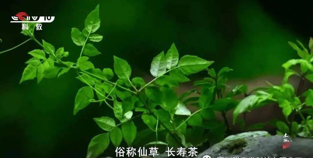 富硒大米是大自然的恩赐（富硒大米好在哪）-硒宝网