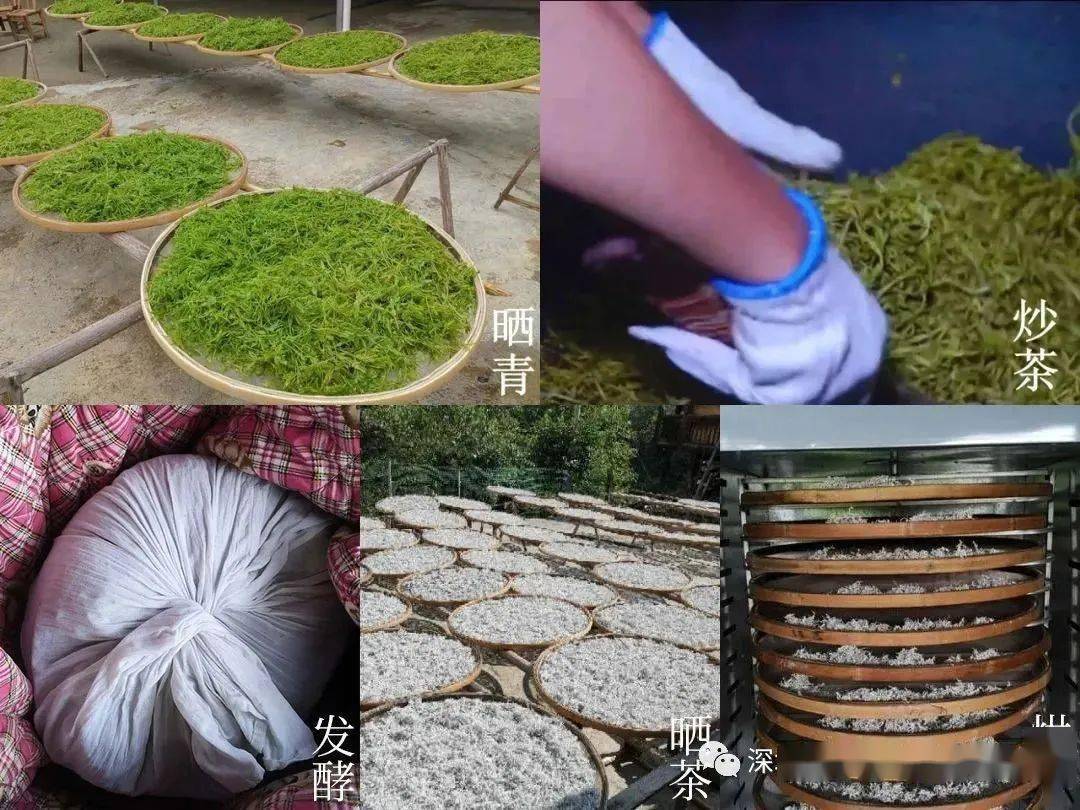 富硒大米是大自然的恩赐（富硒大米好在哪）-硒宝网