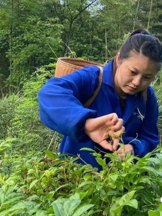 富硒大米是大自然的恩赐（富硒大米好在哪）-硒宝网