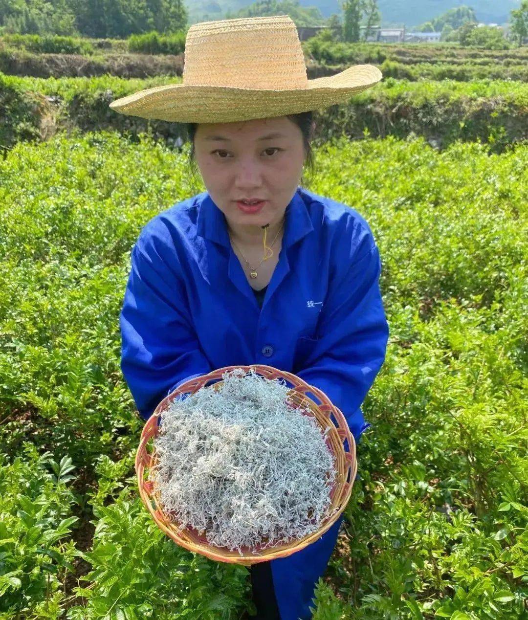 富硒大米是大自然的恩赐（富硒大米好在哪）-硒宝网