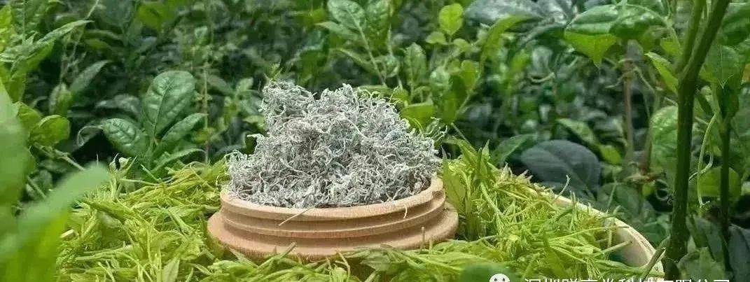 富硒大米是大自然的恩赐（富硒大米好在哪）-硒宝网