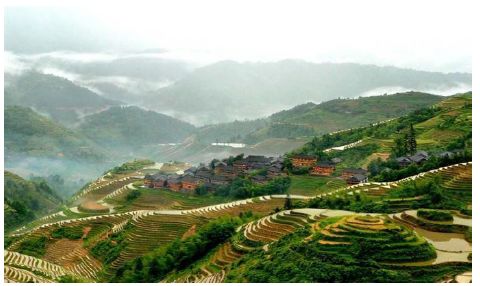 富硒大米种植周期表图示(大米的种植过程图)-硒宝网