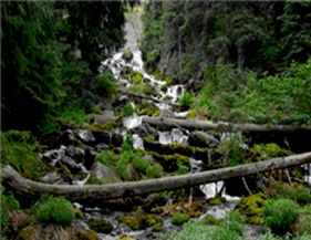 富硒大米种植周期表图示(大米的种植过程图)-硒宝网