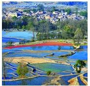 富硒大米种植周期表图示(大米的种植过程图)-硒宝网