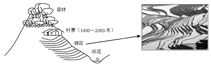 富硒大米种植周期表图示(大米的种植过程图)-硒宝网
