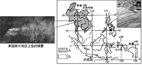 富硒大米种植周期表图示(大米的种植过程图)-硒宝网