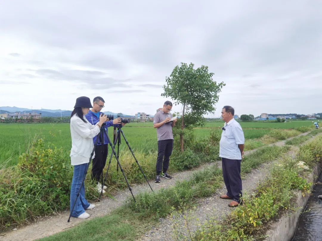 保清县富硒大米产量多少(宝清富硒大米产地)-硒宝网