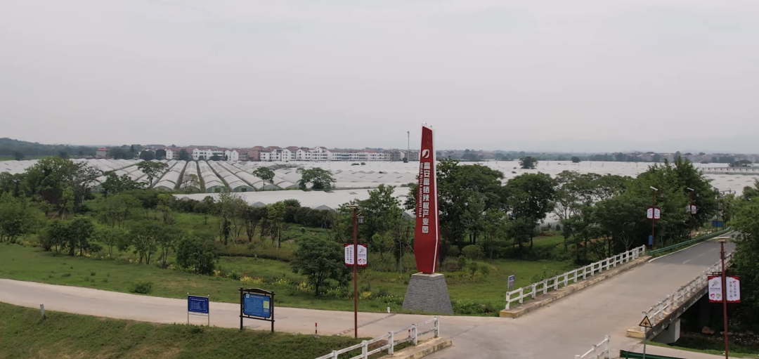 丰城富硒大米乡意浓品牌（丰城富硒大米企业）-硒宝网