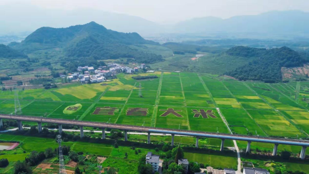 丰城富硒大米乡意浓品牌（丰城富硒大米企业）-硒宝网