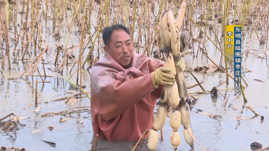 试种富硒大米的机器叫啥(富硒优质大米)-硒宝网