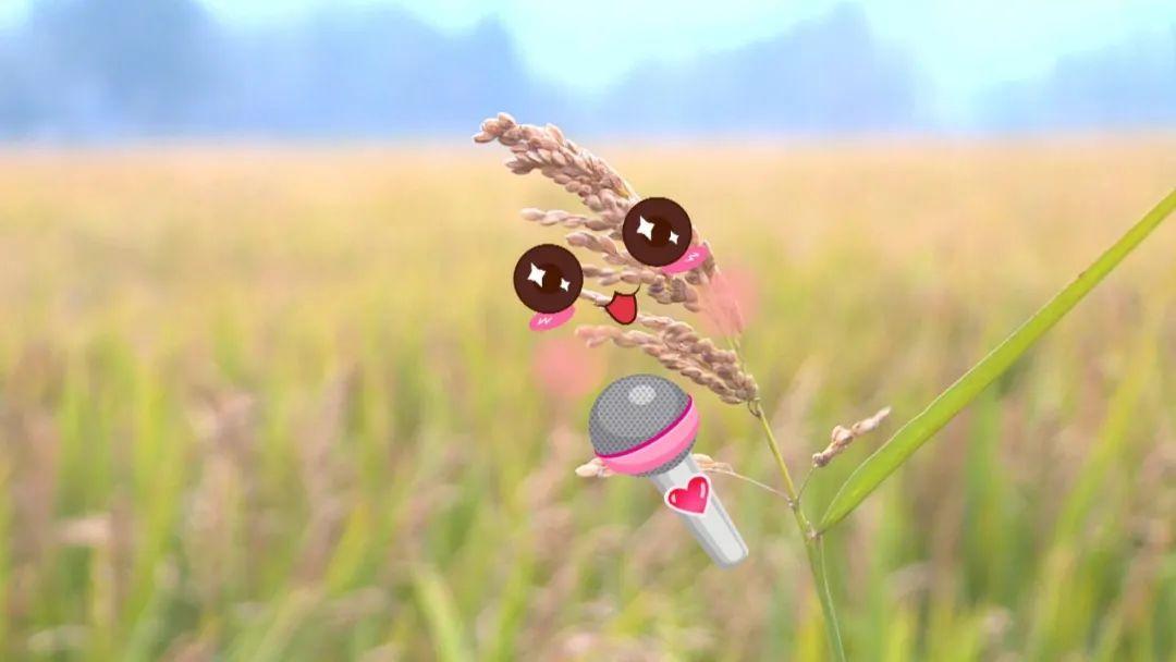 试种富硒大米的机器叫啥(富硒优质大米)-硒宝网