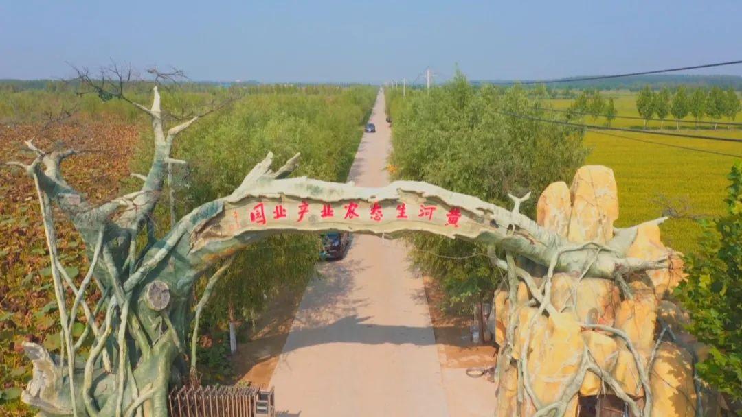 试种富硒大米的机器叫啥(富硒优质大米)-硒宝网