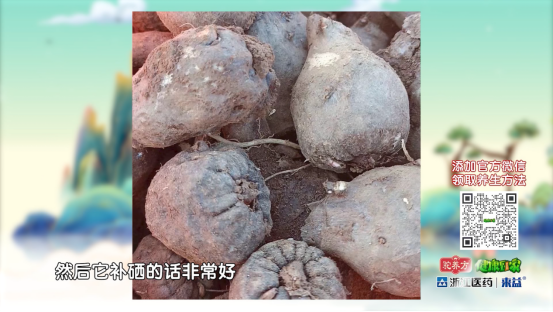 富硒大米主要是哪些地方(大米地方富硒主要是什么产地)-硒宝网