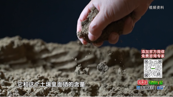 富硒大米主要是哪些地方(大米地方富硒主要是什么产地)-硒宝网