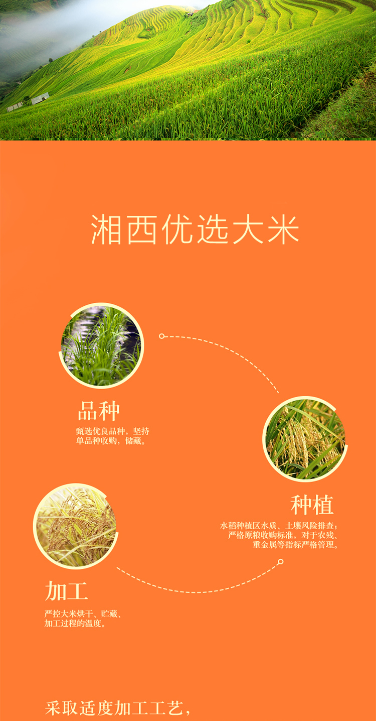 富硒大米哪里产的好些呢(富硒大米好在哪)-硒宝网