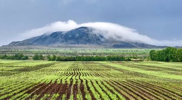 东北黑龙江方正富硒大米（黑龙江方正县大米含硒吗）-硒宝网