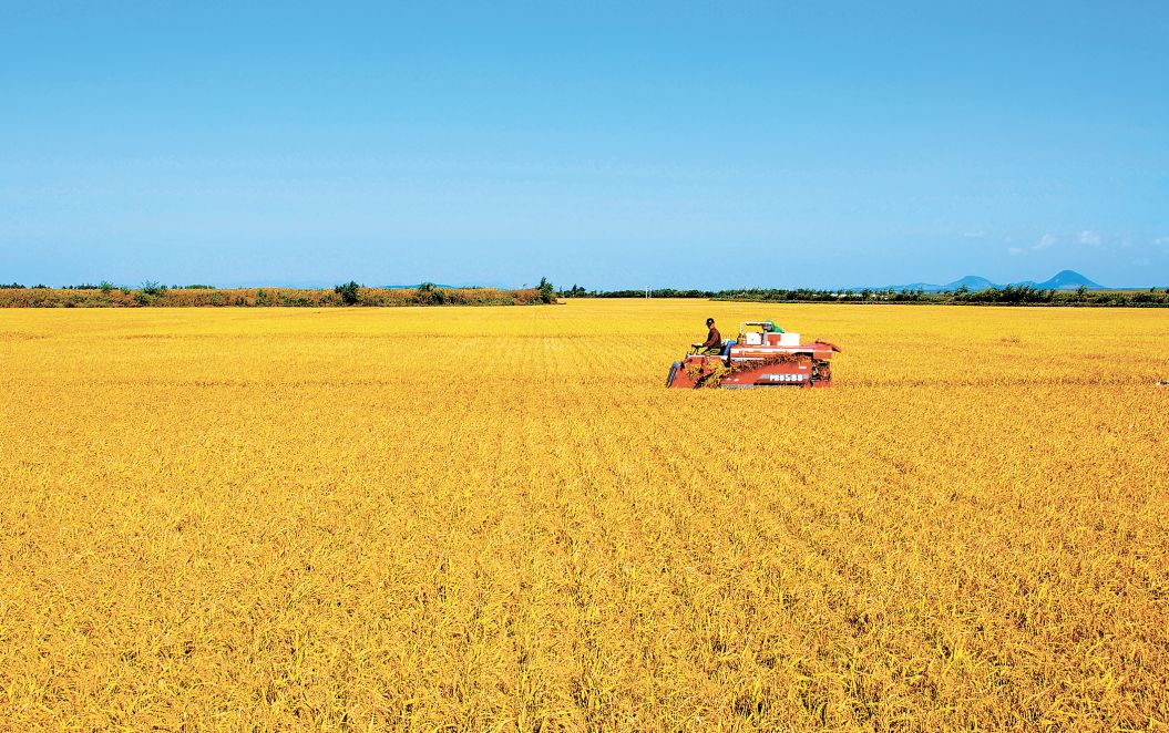 东北黑龙江方正富硒大米（黑龙江方正县大米含硒吗）-硒宝网