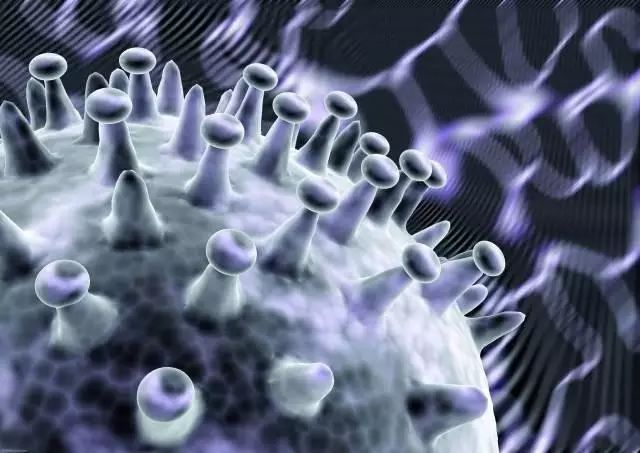 怎么选大米富硒不含糖呢（大米选糖含富硒吗）-硒宝网