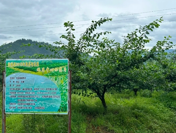 向阳店富硒大米价格多少(景阳富硒大米)-硒宝网