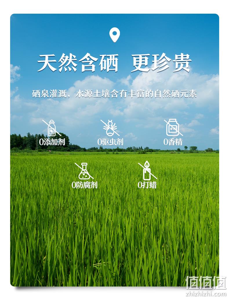 上高县富硒大米种植面积(高山富硒大米多少钱一斤)-硒宝网