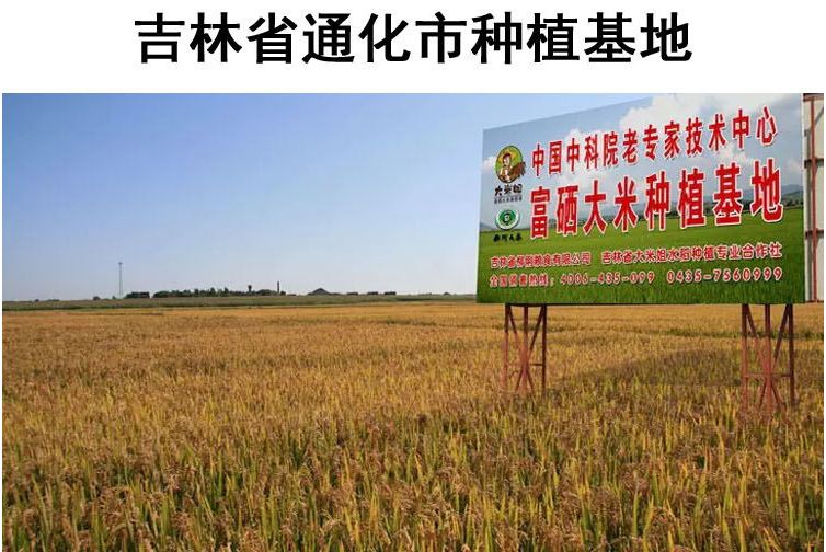 富硒大米含什么元素多呢（大米含硒有什么好处）-硒宝网