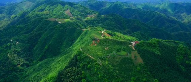 富硒大米含什么元素多呢(大米含硒元素吗)-硒宝网