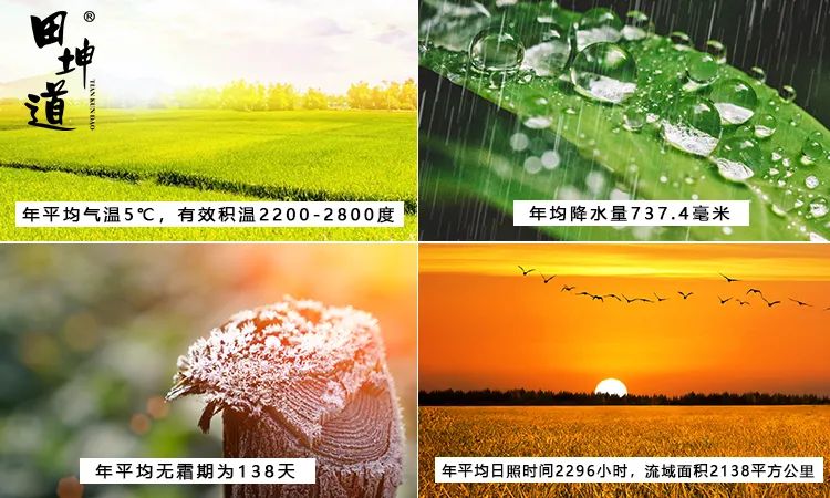 富硒大米和贡米哪个好吃(富硒大米好在哪)-硒宝网