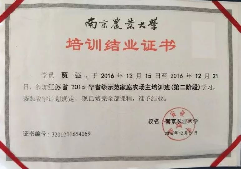 富硒大米江苏能种吗现在(富硒大米好在哪)-硒宝网