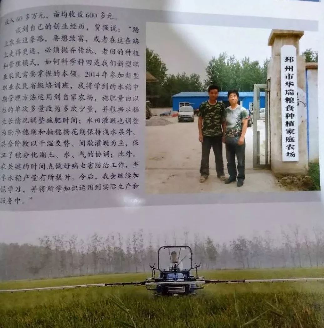 富硒大米江苏能种吗现在(富硒大米好在哪)-硒宝网