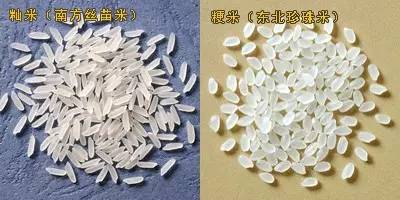 富硒大米吃多了会中毒吗（大米中毒吃富硒会怎么样）-硒宝网