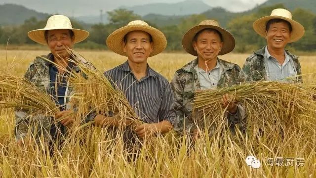 富硒鸭稻有机大米哪个好(鸭稻米骗局)-硒宝网