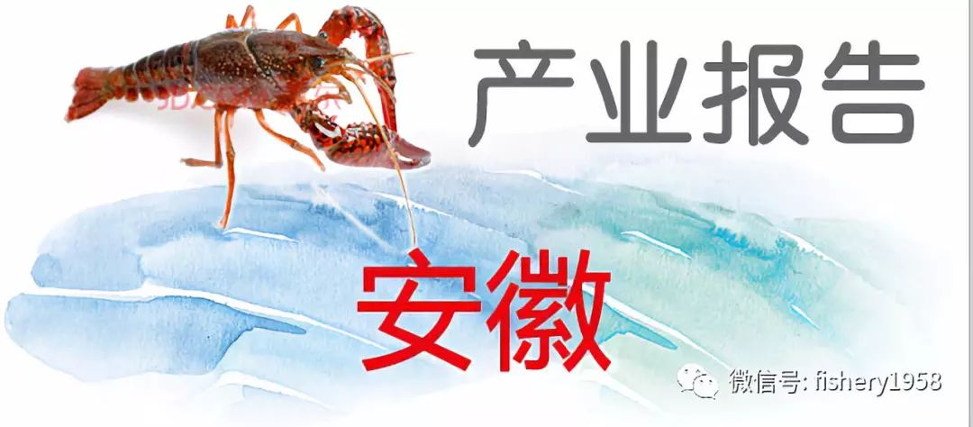 安徽省地方标准富硒大米(安徽富硒米产地)-硒宝网