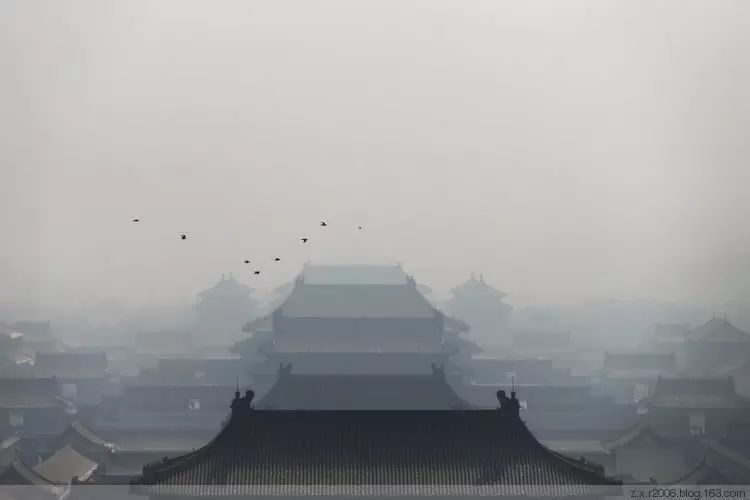 海伦市富硒大米产量多少(海伦大米多少钱一斤)-硒宝网