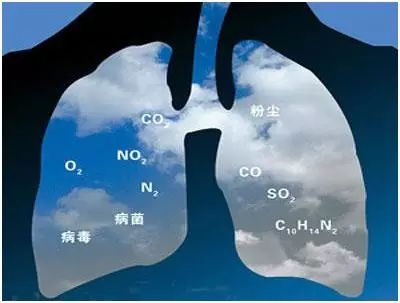 海伦市富硒大米产量多少(海伦大米多少钱一斤)-硒宝网