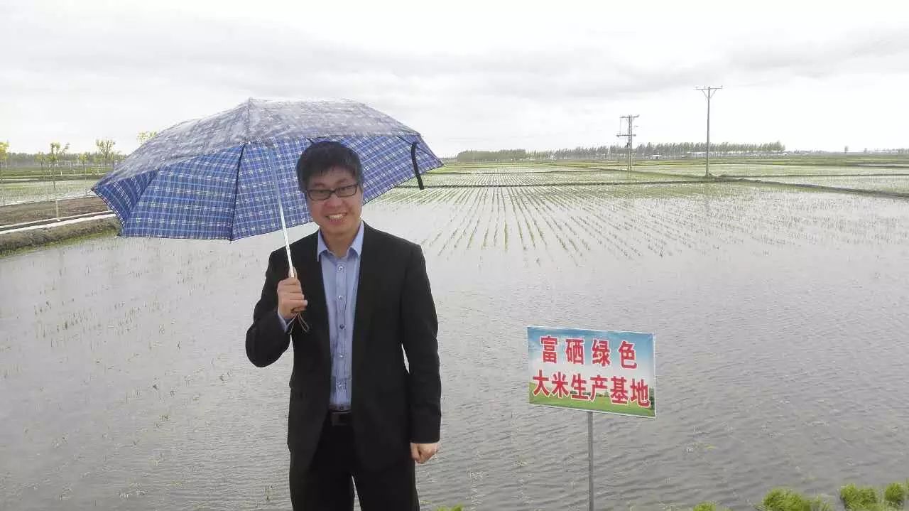 海伦市富硒大米产量多少(海伦大米多少钱一斤)-硒宝网