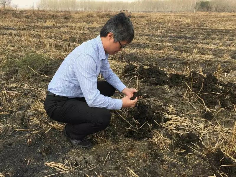 海伦市富硒大米产量多少(海伦大米多少钱一斤)-硒宝网