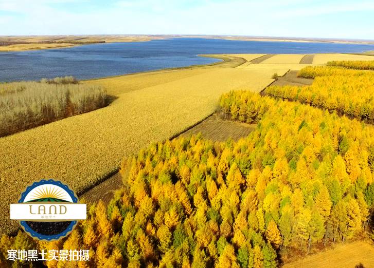 海伦市富硒大米产量多少(海伦大米多少钱一斤)-硒宝网