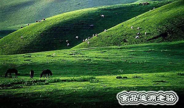 富硒大米新疆伊犁能种吗（伊犁大米生产厂家）-硒宝网