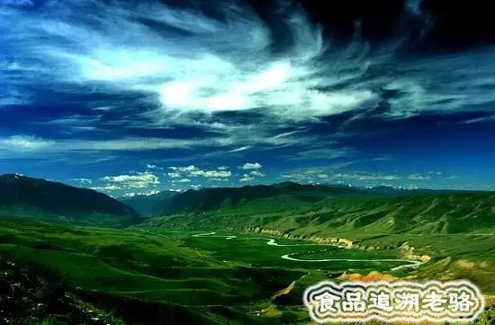 富硒大米新疆伊犁能种吗（伊犁大米生产厂家）-硒宝网