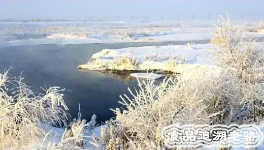 富硒大米新疆伊犁能种吗（伊犁大米生产厂家）-硒宝网