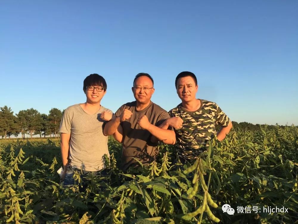 海伦市富硒大米产量多少(海伦富硒大米价格表)-硒宝网