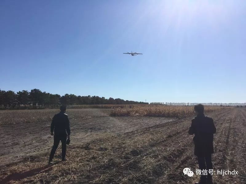 海伦市富硒大米产量多少(海伦富硒大米价格表)-硒宝网