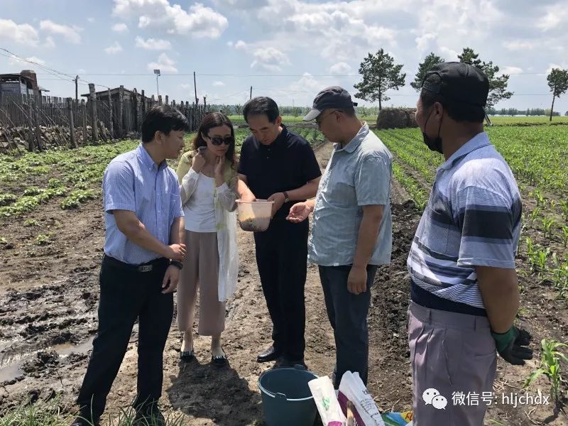 海伦市富硒大米产量多少(海伦富硒大米价格表)-硒宝网