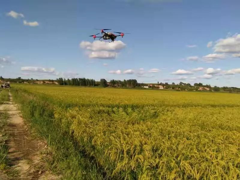 海伦市富硒大米产量多少(海伦富硒米多少钱一斤)-硒宝网