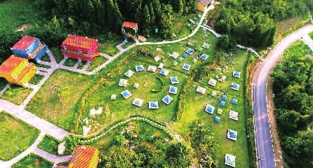 中志集团的富硒大米功能(大米硒的作用)-硒宝网