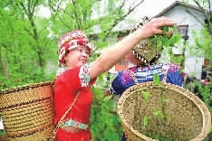 中志集团的富硒大米功能(大米硒的作用)-硒宝网